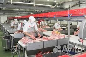 Обвальщик мяса Курск вахта без опыта