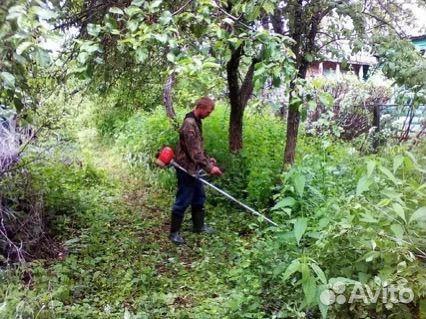 Чистка участка спил деревьев