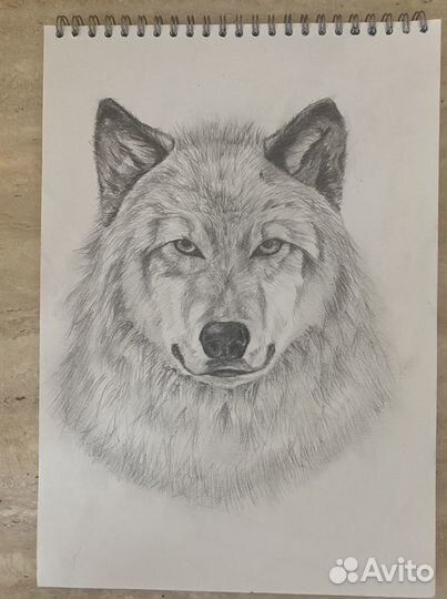 Рисунки в школу, садик, на подарок