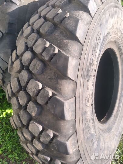 Резина Кама 1260 б/у