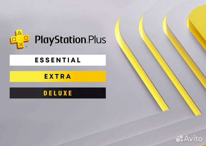PS Plus 12 Месяцев