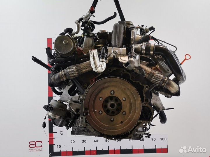 Двигатель (двс) для Audi A4 B6 BDG