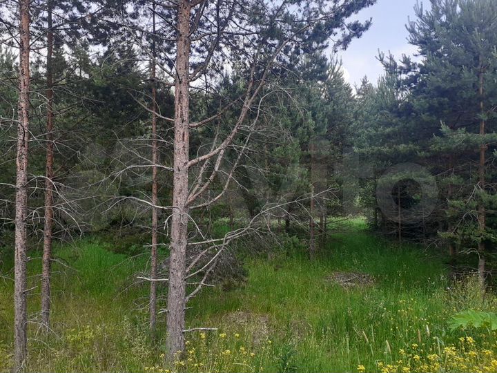 Участок 1,96 га (СНТ, ДНП)