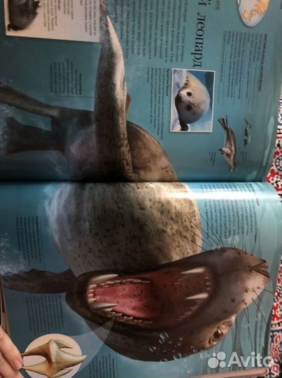 Энциклопедия для детей