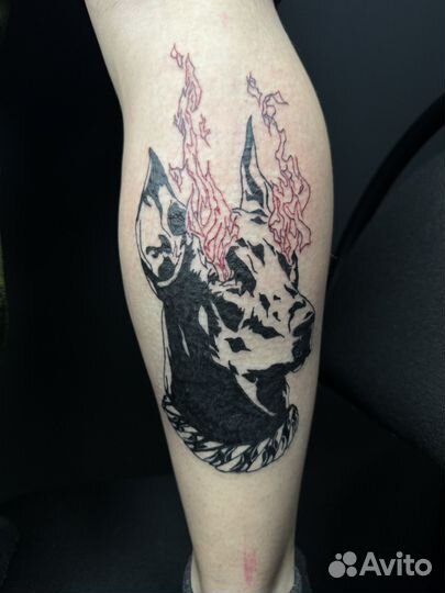 Модели для портфолио