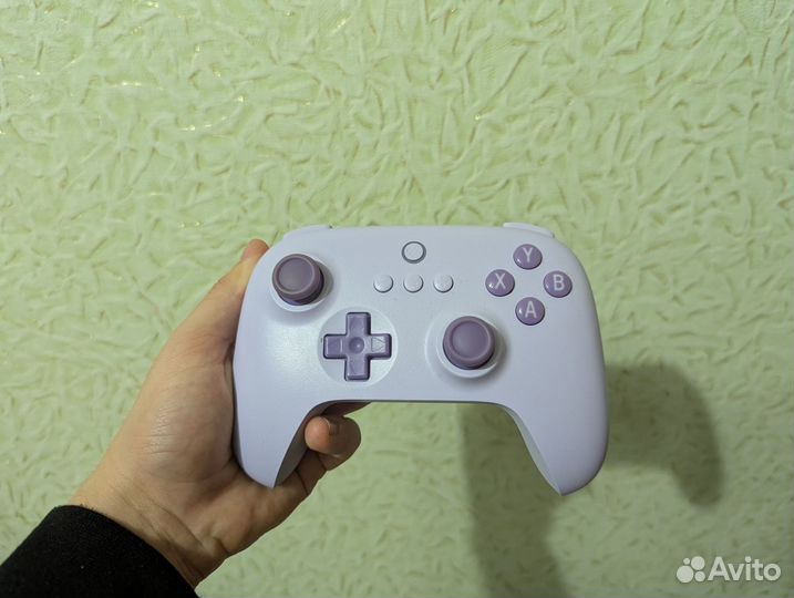 8bitdo Ultimate c 2.4G