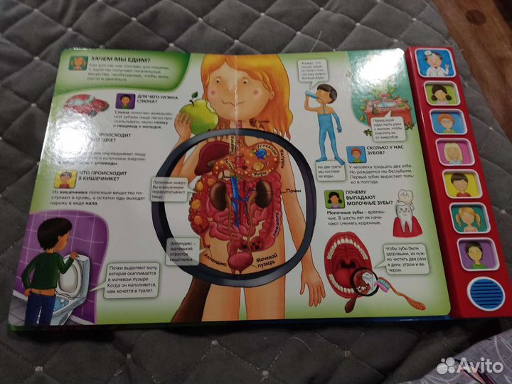 Интерактивная говорящая книга о теле человека