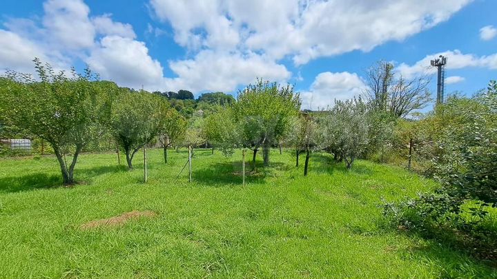 Дом 110 м² на участке 10 сот.