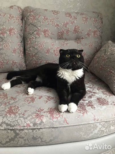 Уход за животными