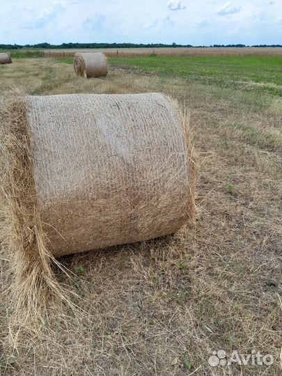Сено в рулонах