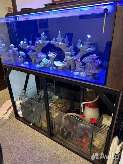Продам морской аквариум