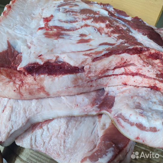 Сало свиное свежее