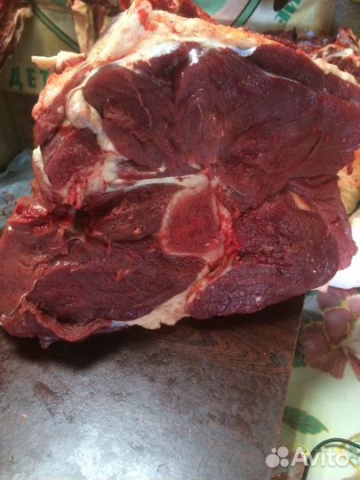 Мясо свежее халяль говядина и конина