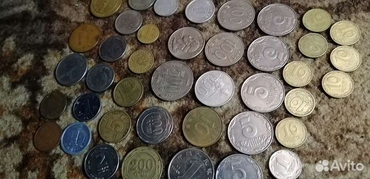 Сундук с монетами