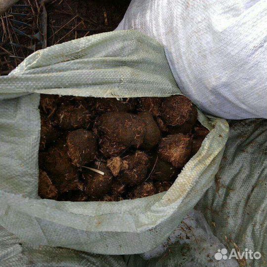 Конский навоз, доставка