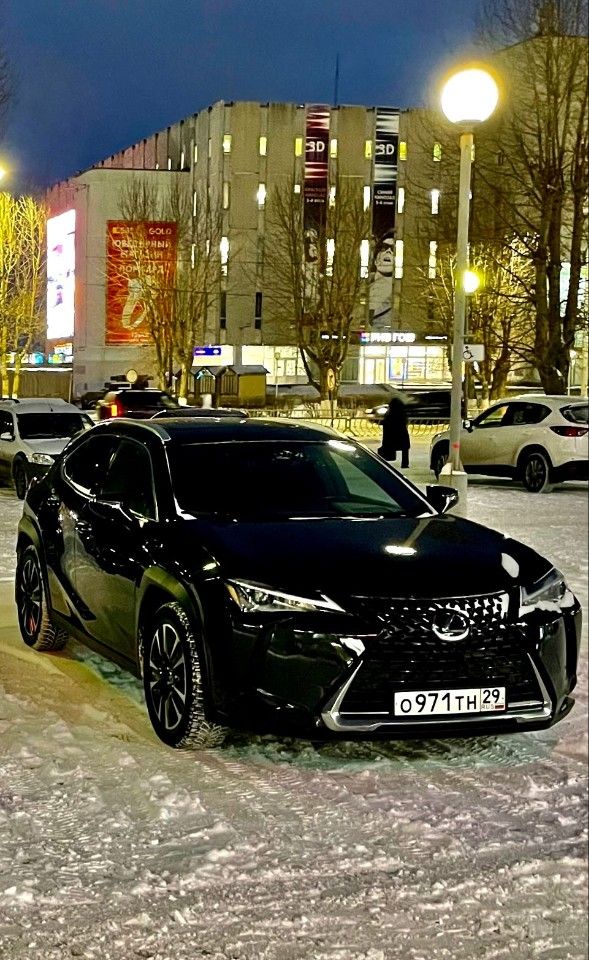 Lexus UX: фото из отзыва