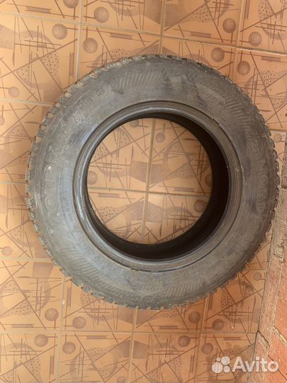 Nordman 5 175/70 R13