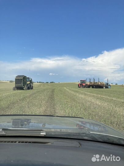 Сено с доставкой