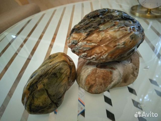 Камни для аквариума + коряга (мангр)