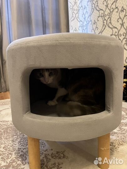 Домик для кошки