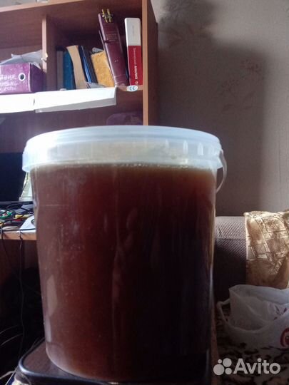 Мед алтайский