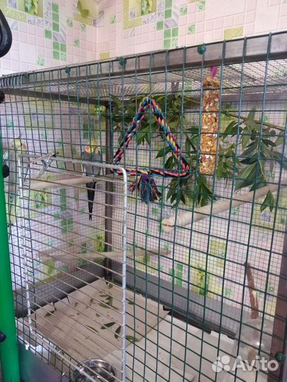 Клетка для птиц