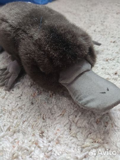 Утконос Hansa