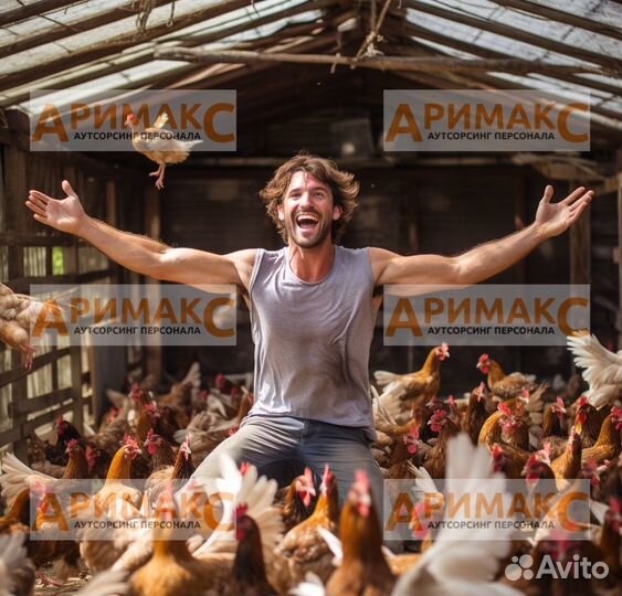 Отловщик птицы, вахта с бесплатным проживанием