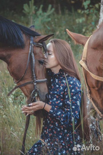 Прокат на лошадях,прогулка по лесу с детьми