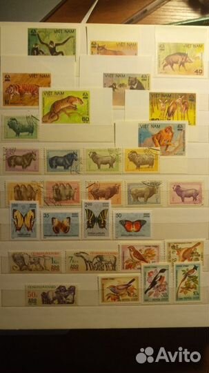 Марки Фауна и Флора СССР и Зарубежные серии 1958-1