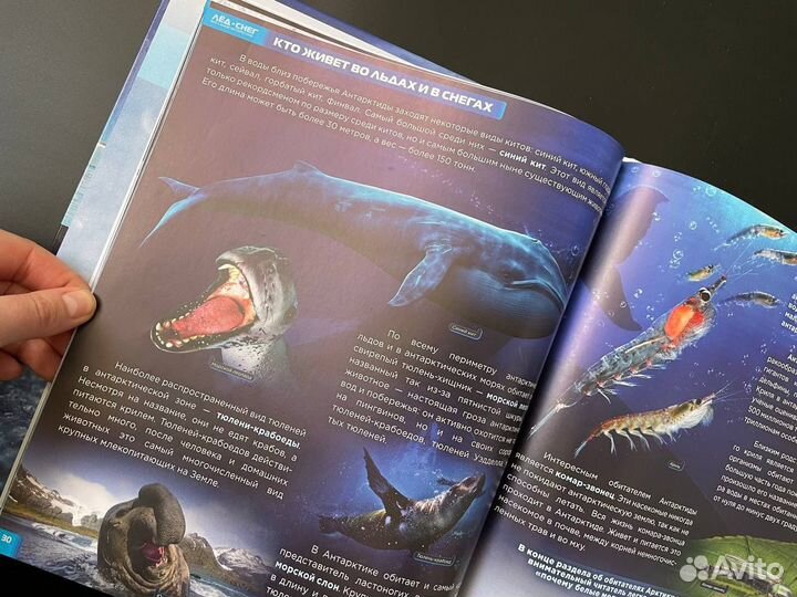 Лед и снег Громов