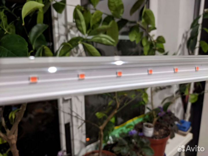 Светильник для растений