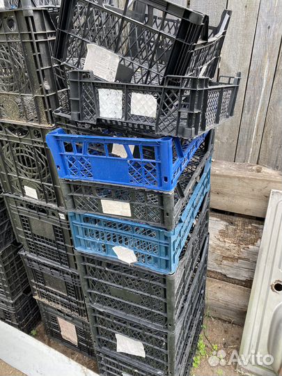 Пластиковые ящики для хранения бу