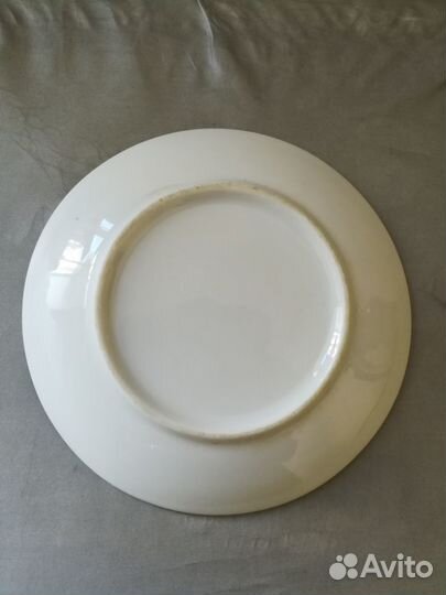 Магниты, тарелка