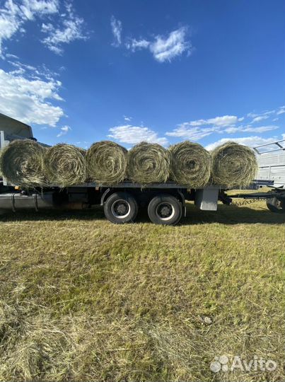 Сено с даставкой