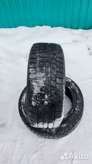 Dunlop Winter Maxx 215/50 R17 95T