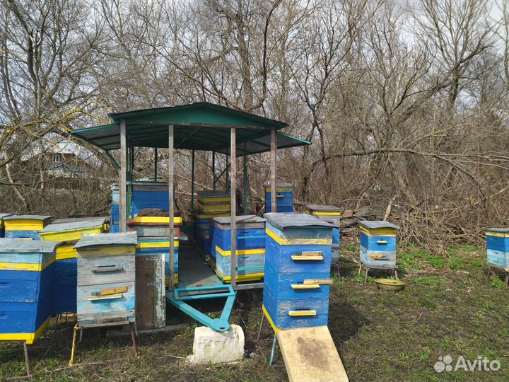 Пчелоприцеп легковой