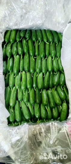 Доставка овощей, мяса, бакалеи