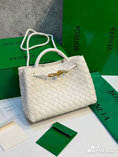 Сумка Bottega Veneta Small Andiamo