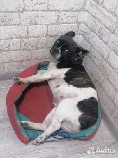 Ищу кабеля для вязки