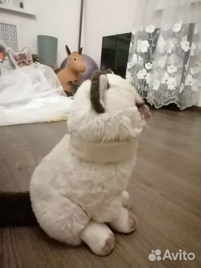 Воротник Шанса детский