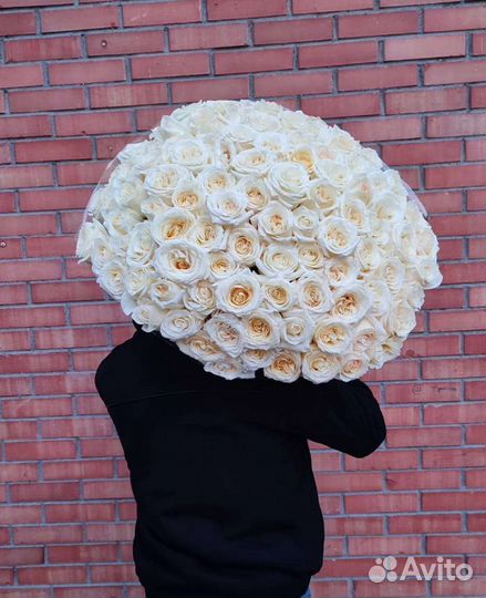 Роза белая Эквадор, букет из белых роз В омске