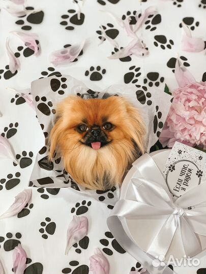 Брошь по фото собачки. Корги, Пекинес, шпиц и др