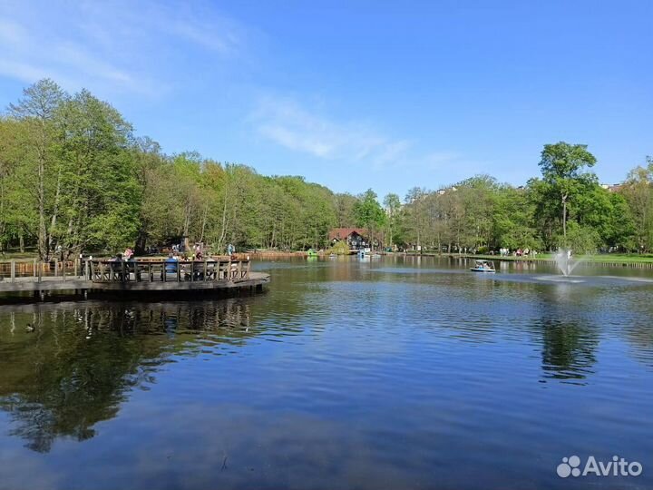 Калининград туры