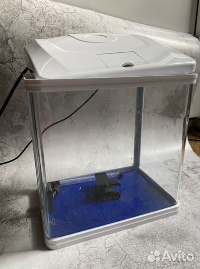 Аквариум