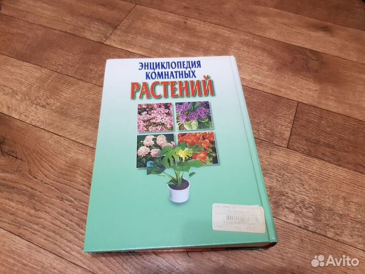 Энциклопедия комнатных растений