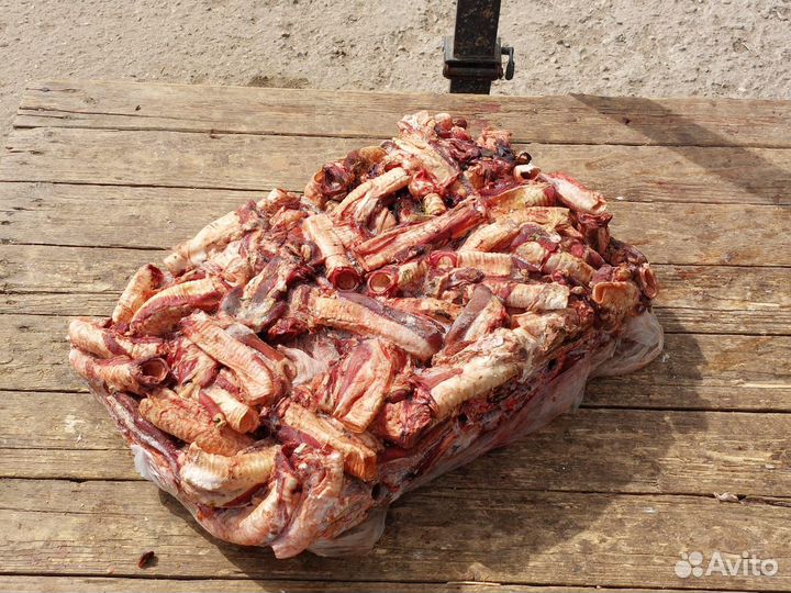 Корм для собак мясо