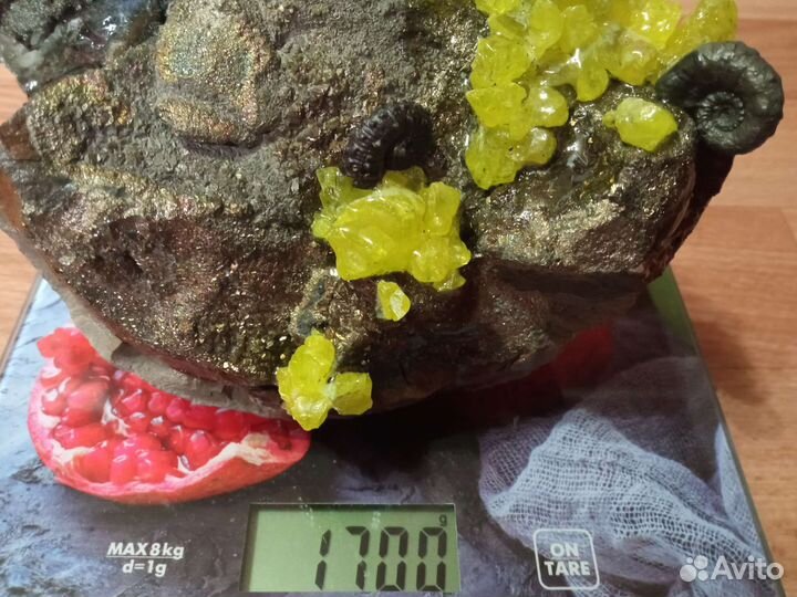 Окаменелости минералы