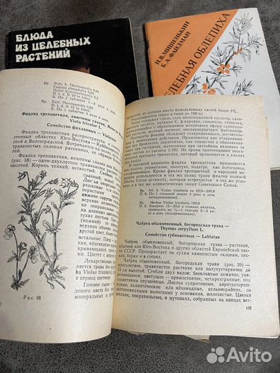 Лекарственные растения в научной,народной