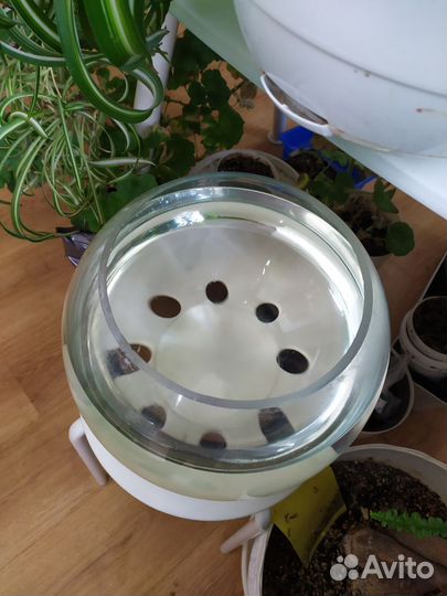 Аквариум 10 литров. Флорариум. Террариум